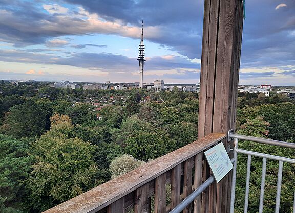 Fernsehturm Blick vom Eilenriede Turm Waldhochhaus Hannover Waldstation Auf Augenhöhe mit dem "Telemax" in Hannover, fast jedenfalls ;-)